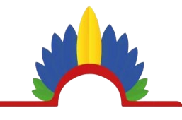 DSEI Yanomami e Ye'kuana